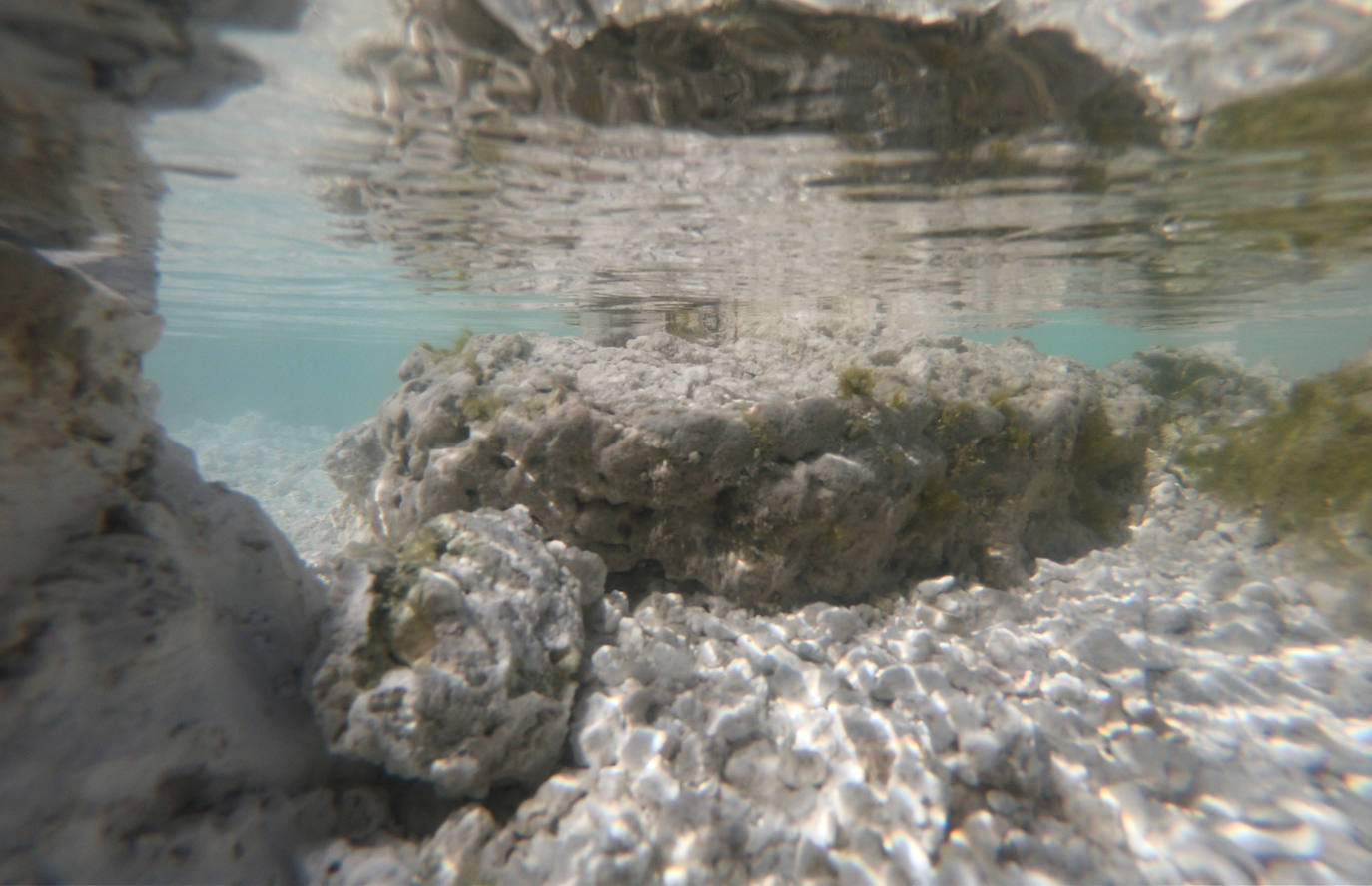 Un lago de unos 40 kilómetros cuadrados en el suroeste de Turquía ha atraído la atención de los científicos por las similitudes que ven con el cráter Jezero de Marte, donde ha aterrizado el explorador Perseverance de la NASA. Los investigadores creen que el lago Salda, en la provincia de Burdur, comparte características minerales y geológicas similares al cráter Jezero.