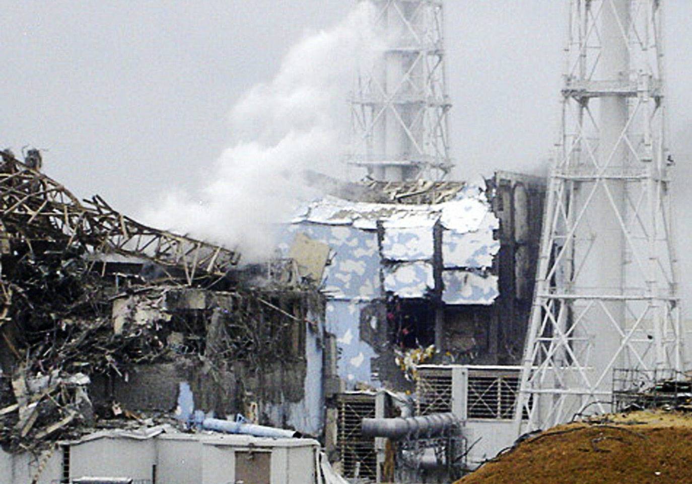 El 11 de marzo de 2011, un terremoto de magnitud 9 desató un tsunami que arrasó la costa nororiental de Japón, dejando más de 22.000 muertos y desaparecidos y provocando en la central de Fukushima 1 el peor accidente nuclear desde Chernóbil. Con olas de hasta 40 metros, el tsunami arrastró todo lo que encontró a su paso en cientos de kilómetros.