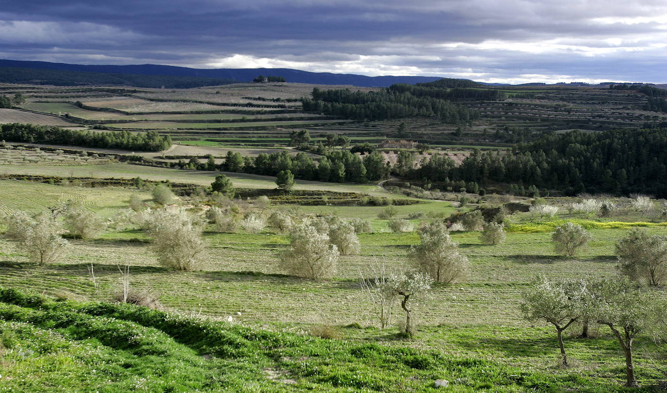 Los términos de Moixent, La Font de la Figuera y Fontanars dels Alforins aglutinan una distinguida concentración de masías históricas y campos de vid, cereal, almendros, olivos y frutales que forman un mosaico sin parangón y se intercalan con núcleos de pinada y serpenteantes caminos que se adentran entre parcelas, ribeteados de cipreses. Este rincón valenciano, conocido como les Terres dels Aforins y que guarda en su centro el valle de Les Alcusses, está repleto de belleza y encantos, que le hicieron merecer hace tiempo el sobrenombre de la 'Toscana valenciana'.