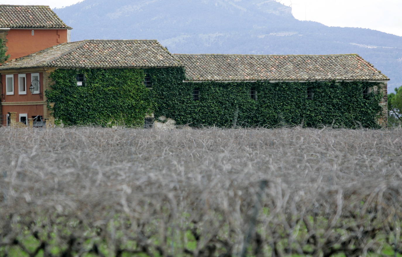 Los términos de Moixent, La Font de la Figuera y Fontanars dels Alforins aglutinan una distinguida concentración de masías históricas y campos de vid, cereal, almendros, olivos y frutales que forman un mosaico sin parangón y se intercalan con núcleos de pinada y serpenteantes caminos que se adentran entre parcelas, ribeteados de cipreses. Este rincón valenciano, conocido como les Terres dels Aforins y que guarda en su centro el valle de Les Alcusses, está repleto de belleza y encantos, que le hicieron merecer hace tiempo el sobrenombre de la 'Toscana valenciana'.