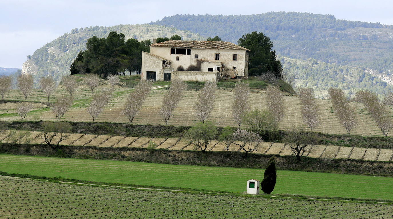 Los términos de Moixent, La Font de la Figuera y Fontanars dels Alforins aglutinan una distinguida concentración de masías históricas y campos de vid, cereal, almendros, olivos y frutales que forman un mosaico sin parangón y se intercalan con núcleos de pinada y serpenteantes caminos que se adentran entre parcelas, ribeteados de cipreses. Este rincón valenciano, conocido como les Terres dels Aforins y que guarda en su centro el valle de Les Alcusses, está repleto de belleza y encantos, que le hicieron merecer hace tiempo el sobrenombre de la 'Toscana valenciana'.