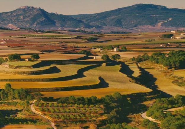 Los términos de Moixent, La Font de la Figuera y Fontanars dels Alforins aglutinan una distinguida concentración de masías históricas y campos de vid, cereal, almendros, olivos y frutales que forman un mosaico sin parangón y se intercalan con núcleos de pinada y serpenteantes caminos que se adentran entre parcelas, ribeteados de cipreses. Este rincón valenciano, conocido como les Terres dels Aforins y que guarda en su centro el valle de Les Alcusses, está repleto de belleza y encantos, que le hicieron merecer hace tiempo el sobrenombre de la 'Toscana valenciana'.