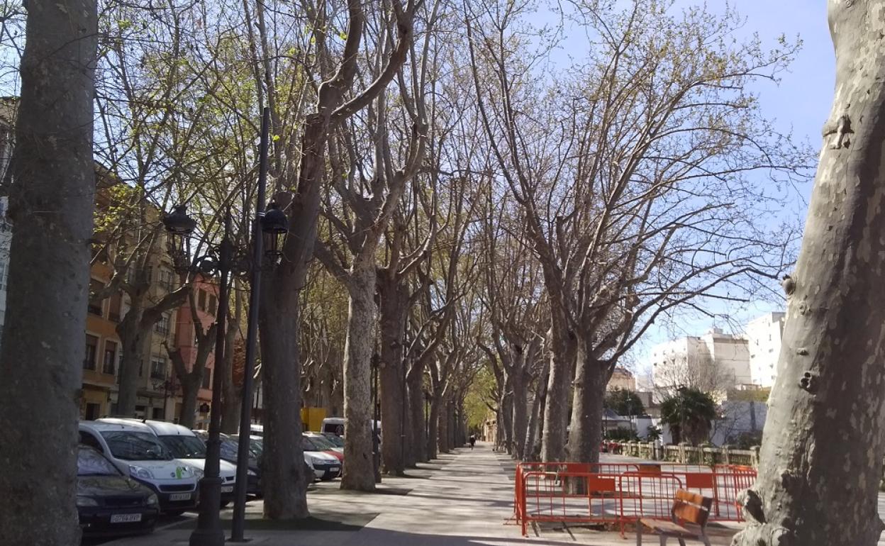 La popular Alameda de Xàtiva donde cayó uno de los árboles centenarios.