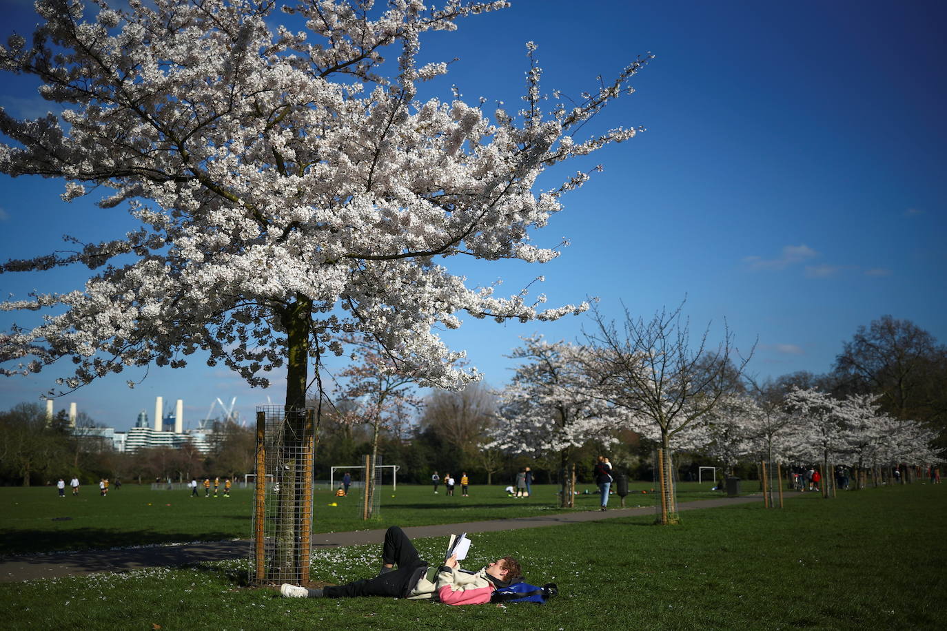 Con la primavera llega el 'Sakura' a Tokio, y a otros lugares del mundo. O lo que es lo mismo: la floración de los cerezos. Los colores que regalan hacen de Japón uno de los destinos turísticos preferidos por los viajeros