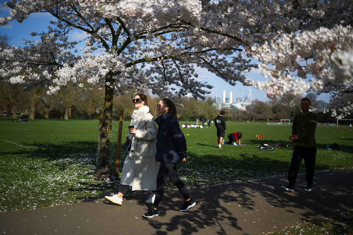 Con la primavera llega el 'Sakura' a Tokio, y a otros lugares del mundo. O lo que es lo mismo: la floración de los cerezos. Los colores que regalan hacen de Japón uno de los destinos turísticos preferidos por los viajeros