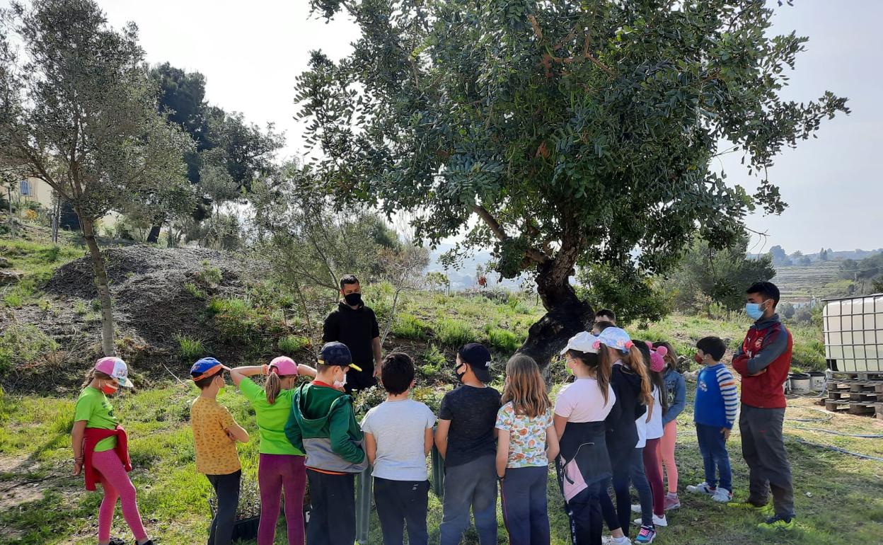 Los alumnos de primaria del Ceip Santa María Magdalena. 