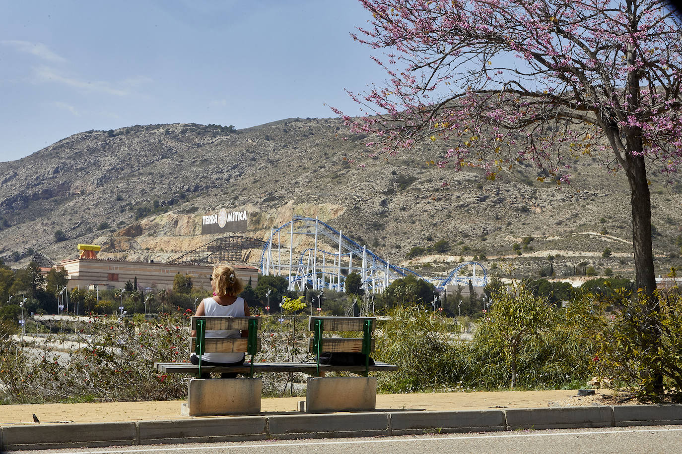 El parque temático lleva ya más de un año cerrado por la pandemia y con sus trabajadores en ERTE. En 2020 cumplió dos décadas en las que el sueño inicial se ha complicado