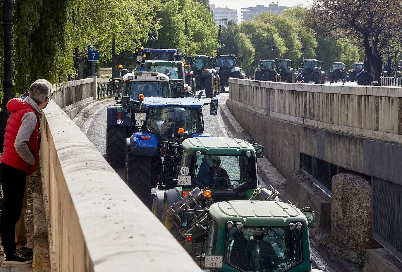 Decenas de tractores han recorrido varios municipios de Valencia y calles de la ciudad para protestar en defensa del sector arrocero, lo que ha provocado retenciones de tráfico a primera hora de este martes. 