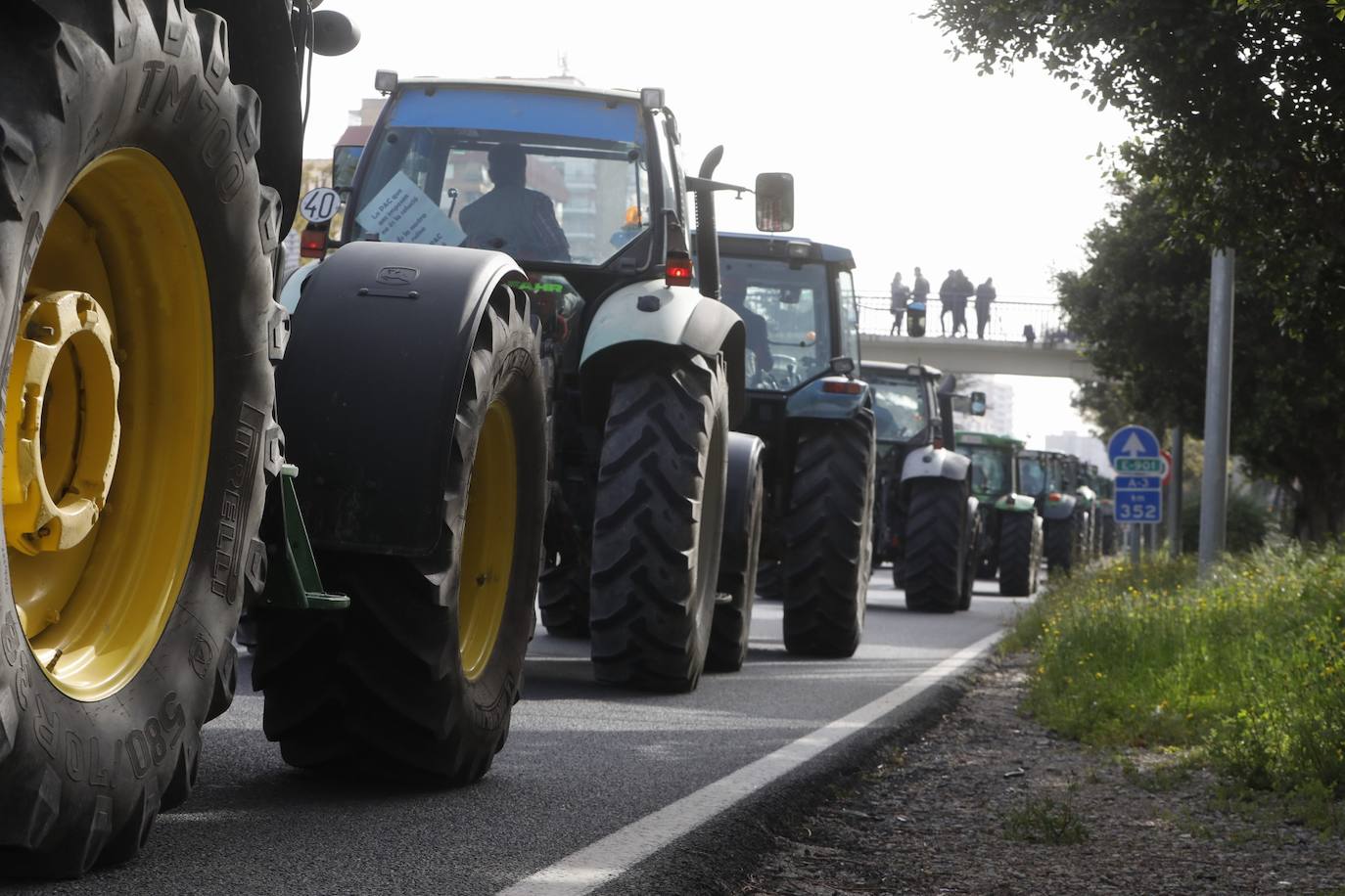 Decenas de tractores han recorrido varios municipios de Valencia y calles de la ciudad para protestar en defensa del sector arrocero, lo que ha provocado retenciones de tráfico a primera hora de este martes. 