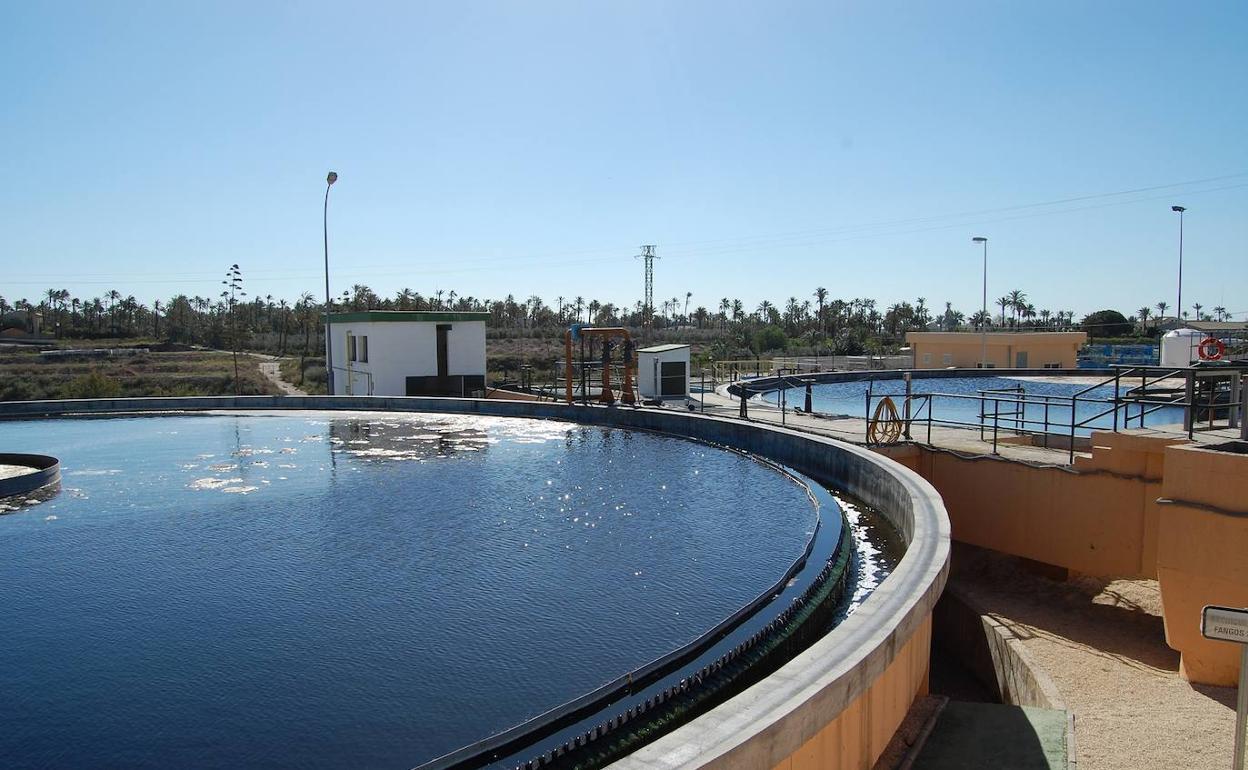 Se trata de un método rápido que detecta las cepas en el agua en menos de 24 horas mediante pruebas PCR. 