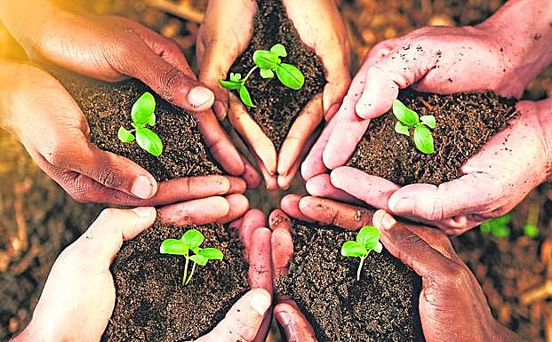 Entre los objetivos está contribuir a la mejora de la productividad y la eficiencia.