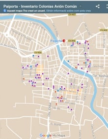 Imagen secundaria 2 - La entrega de las cajas de cartón y el mapa de nidos elaborado. 