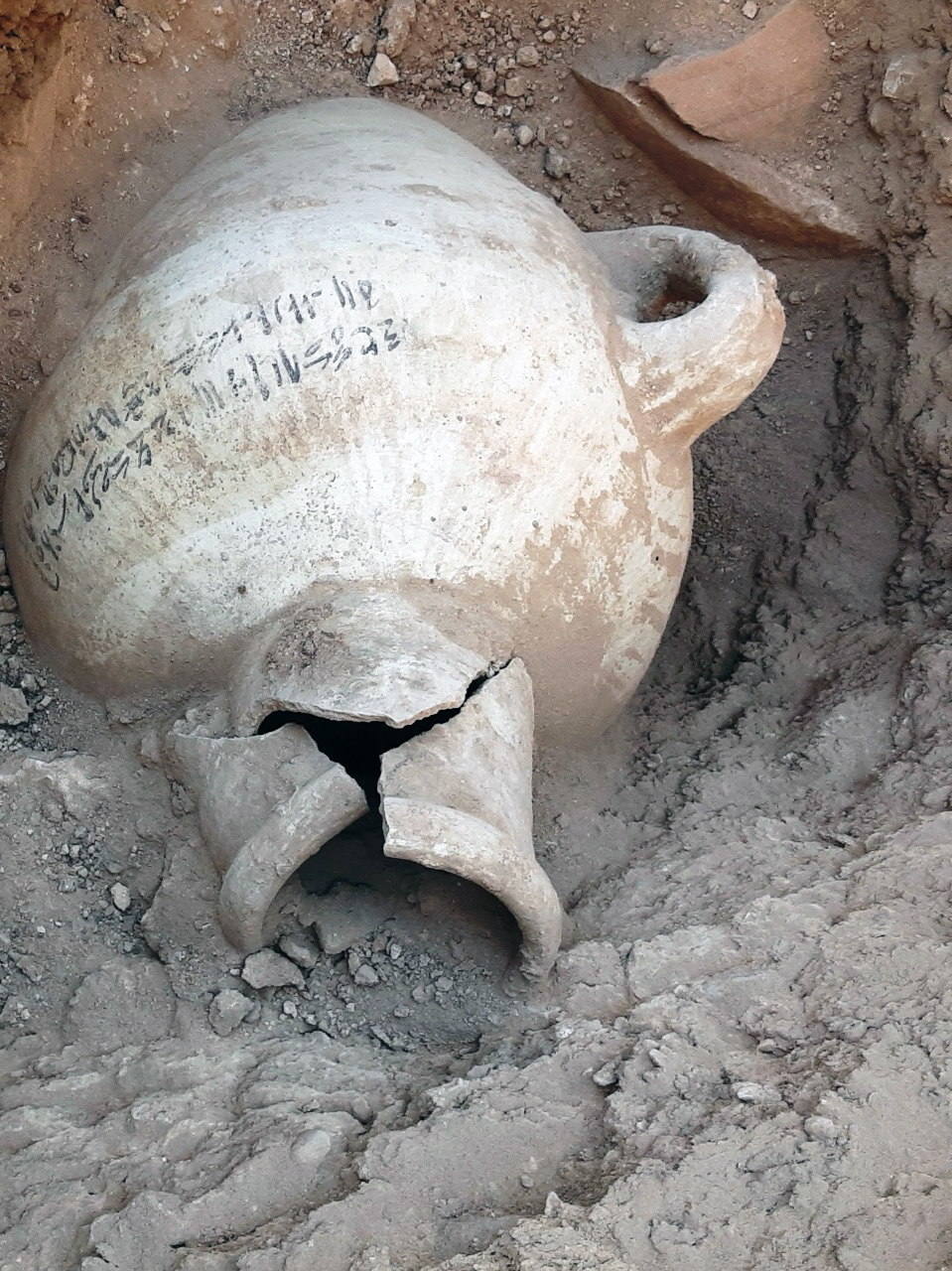 La misión egipcia dirigida por el arqueólogo Zahi Hawass ha descubierto una antigua ciudad en Luxor, 'El ascenso de Atón', que se perdió bajo las arenas hace 3.000 años. Este hallazgo, apodado la 'Ciudad Dorada Perdida', data del reinado de Amenhotep III, y los faraones Tutankamón y Ay la siguieron utilizando. La expedición se sorprendió al descubrir la ciudad más grande jamás encontrada en Egipto. Fundada por uno de los más grandes gobernantes de Egipto, el rey Amenhotep III, el noveno rey de la XVIII dinastía, que gobernó Egipto desde 1391 hasta 1353 a. C., esta ciudad estuvo activa durante la corregencia del gran rey con su hijo, Amenhotep IV/Akenatón. Esta ciudad fue el asentamiento administrativo e industrial más grande de la era del imperio egipcio en la orilla occidental de Luxor. «Las calles de la ciudad están flanqueadas por casas; algunos de sus muros tienen hasta 3 metros de altura y podemos revelar que la ciudad se extiende hacia el oeste, hasta la famosa Deir El-Medina». ha destacado el arqueólogo.