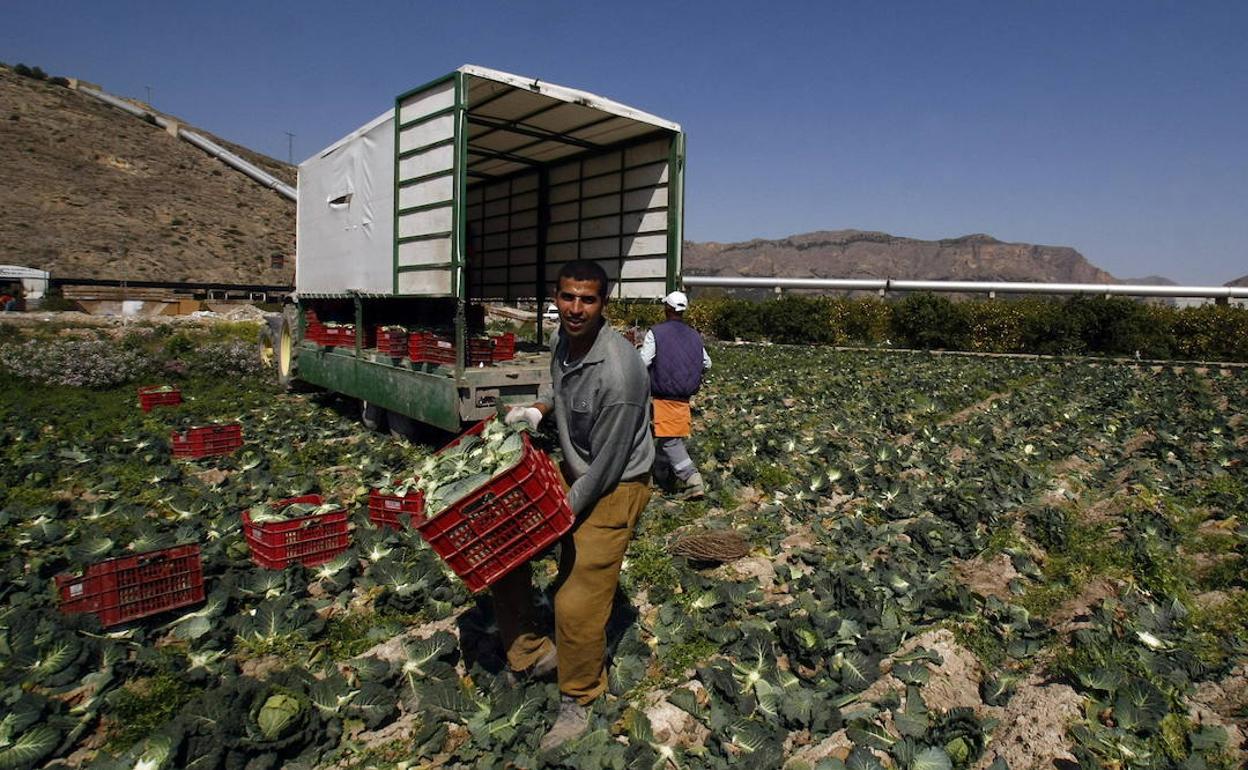 Un operario trabaja en un campo ante las tuberías del trasvase.