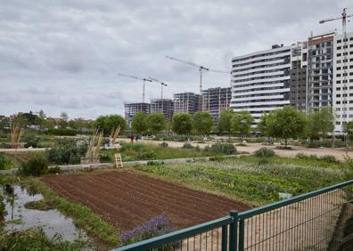 Imagen secundaria 1 - El fracaso de los huertos urbanos en Valencia