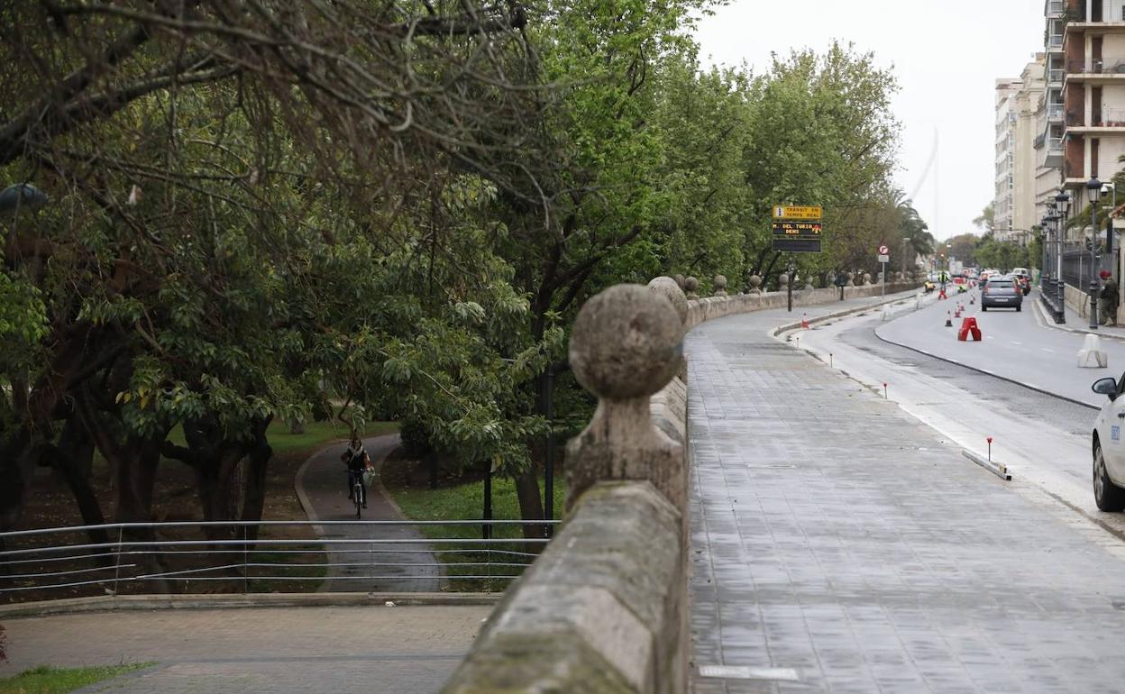 Obras previas a la construcción del carril bici en el paseo de Ciudadela- 