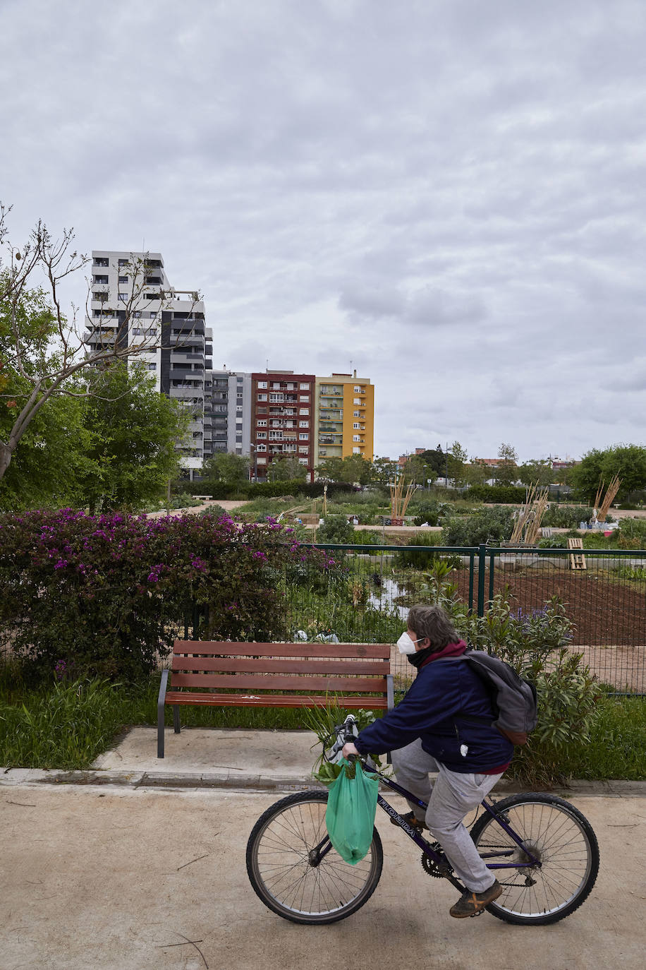 Huertos urbanos de Valencia. 