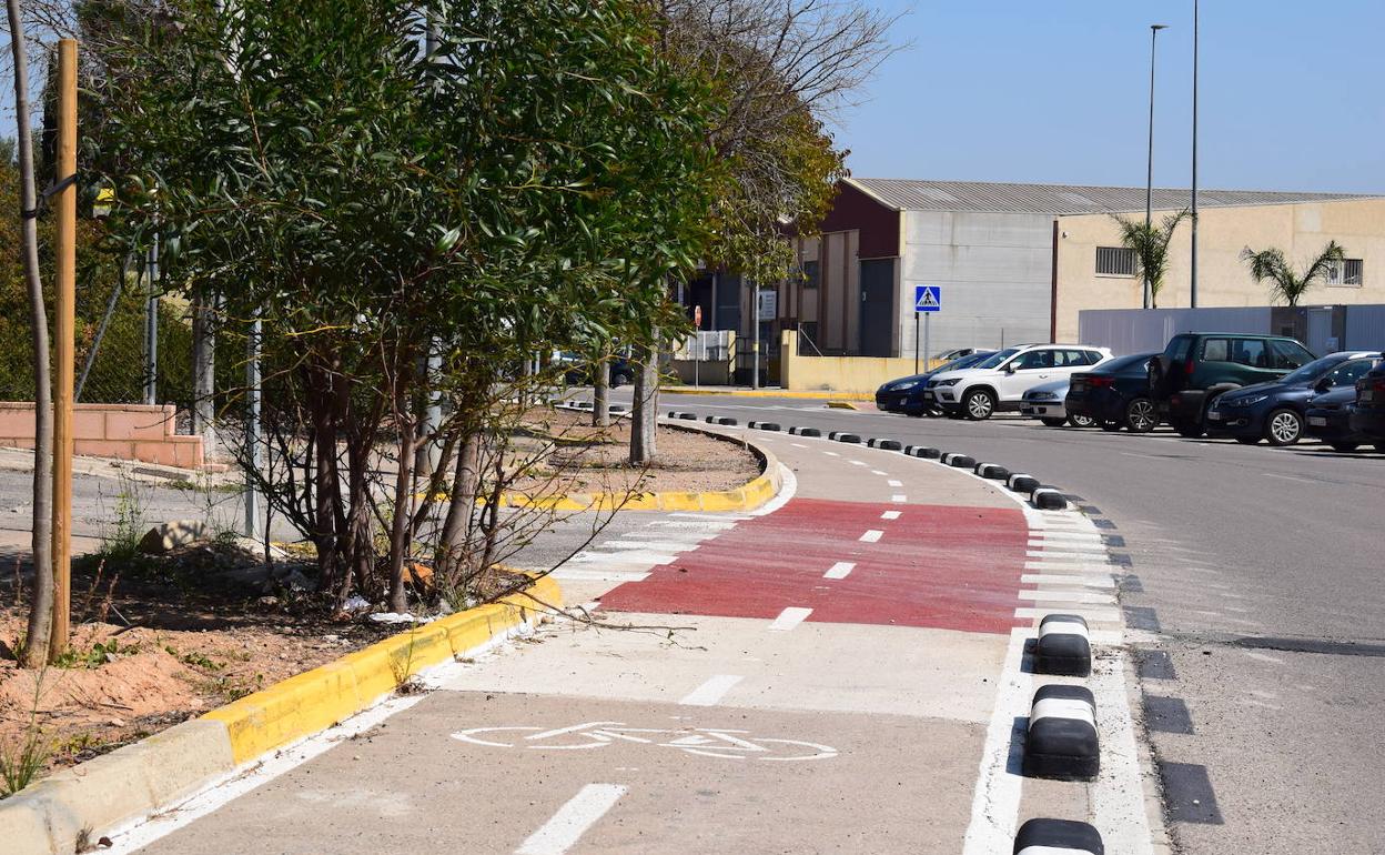 Un tramo del carril bici de la ciudad. 
