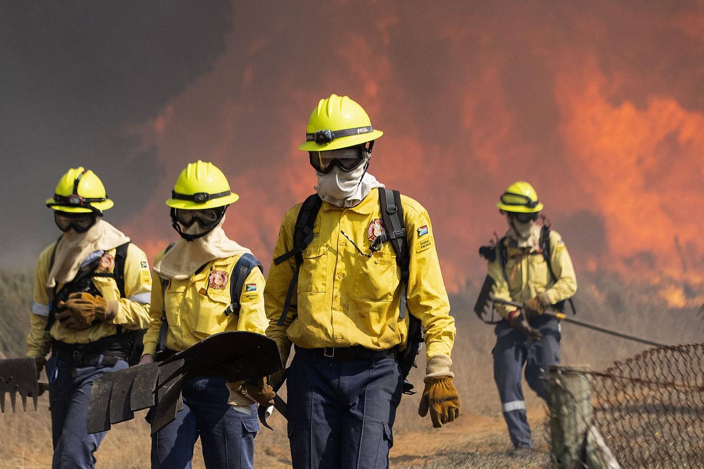 Un incendio destruyó este domingo en el suroeste de Sudáfrica varios edificios de la Universidad de Ciudad del Cabo, fundada en 1829 y una de las más antiguas e importantes del continente africano. Varios inmuebles se vieron afectados por el fuego, entre ellos la Biblioteca Jagger, con más de 200 años de antigüedad, que guarda valiosas colecciones de libros antiguos y manuscritos y de la que al menos dos plantas fueron pasto de las descontroladas llamas. El fuego se originó en las laderas de Table Mountain, cercanas a la universidad, y obligó a cerrar el campus y a evacuar a todos los estudiantes.