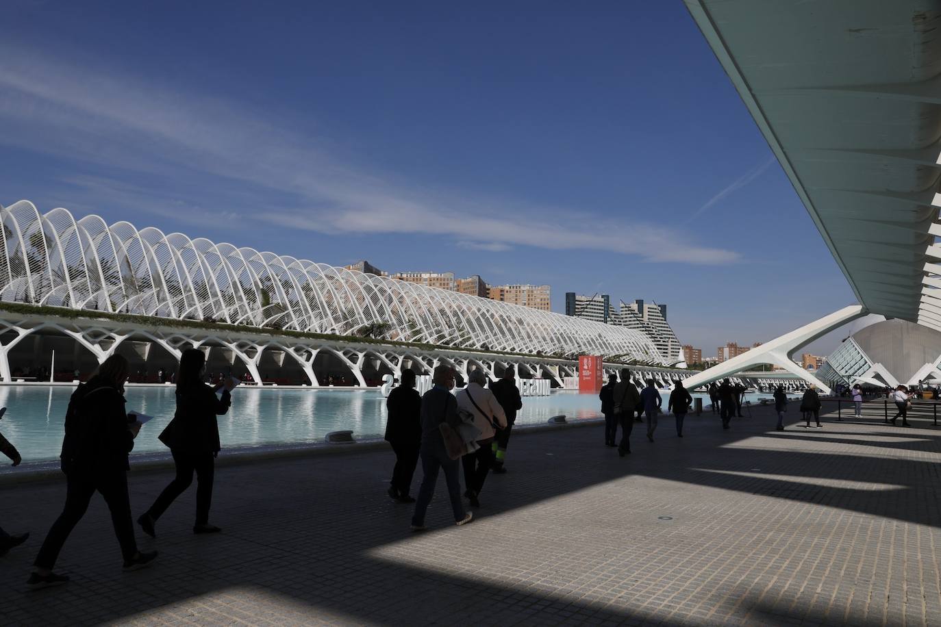 Este lunes, ha arrancado la vacunación masiva en varios puntos de la Comunitat Valenciana. Uno de ellos ha sido la Ciudad de las Artes y las Ciencias, donde Sanidad inyectará con dosis de AstraZeneca a personas de 60 y 61 años. 