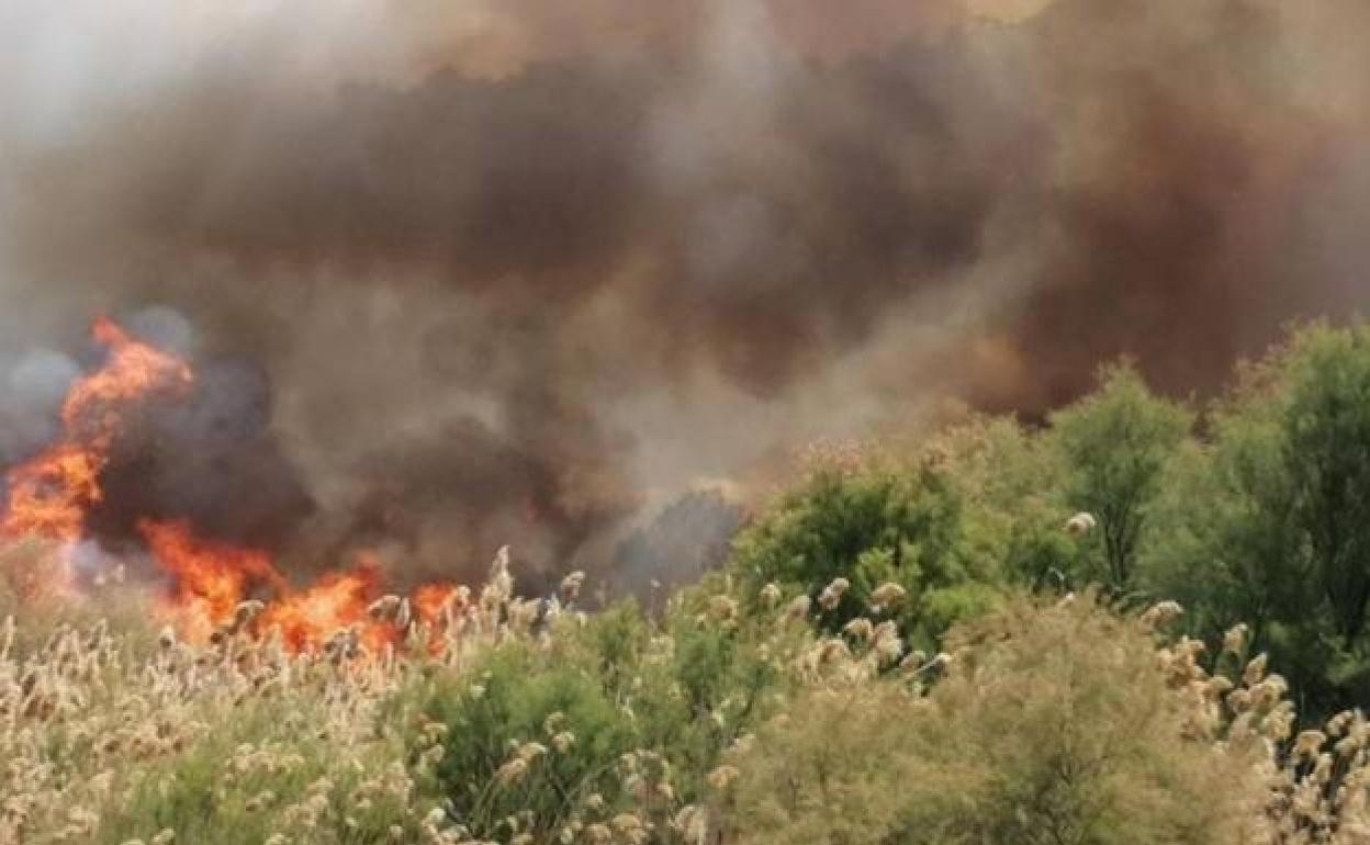 Un reciente incendio en Aspe. 