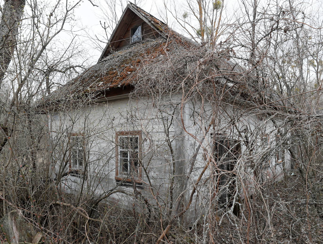 Ucrania pretende convertir las ruinas de Chernobyl en Patrimonio Mundial de la Humanidad. La zona de exclusión permanece abandonada tras el desastre nuclear producido el 26 de abril de 1986 y hoy se ha convertido en un santurario para los amantes del turismo oscuro. También es el recuerdo físico del horror, donde el paso del tiempo acentúa esa sensación de catástrofe, de vida arrasada de golpe, que transmite cada objeto del lugar.