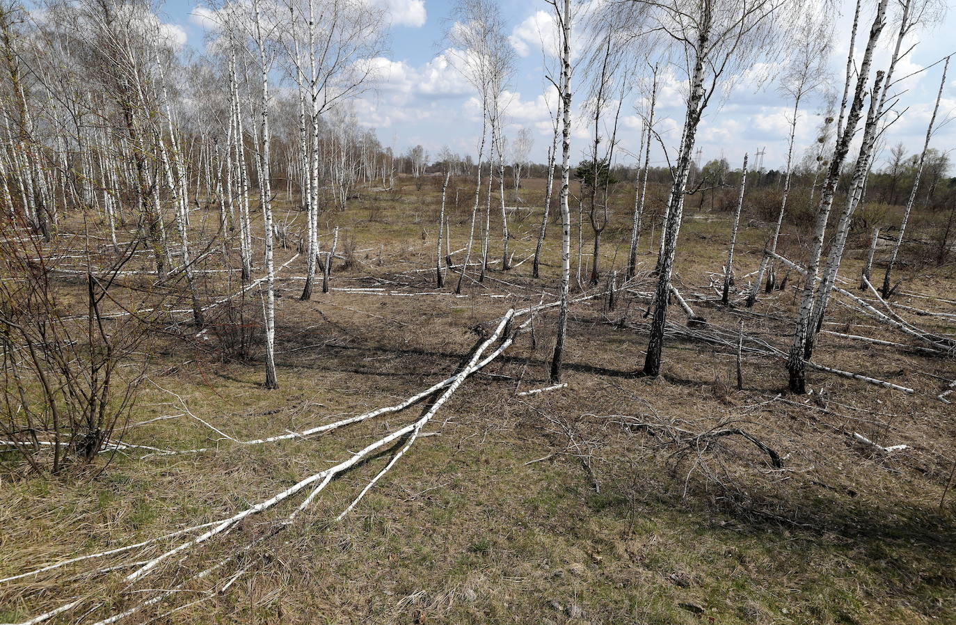 Ucrania pretende convertir las ruinas de Chernobyl en Patrimonio Mundial de la Humanidad. La zona de exclusión permanece abandonada tras el desastre nuclear producido el 26 de abril de 1986 y hoy se ha convertido en un santurario para los amantes del turismo oscuro. También es el recuerdo físico del horror, donde el paso del tiempo acentúa esa sensación de catástrofe, de vida arrasada de golpe, que transmite cada objeto del lugar.