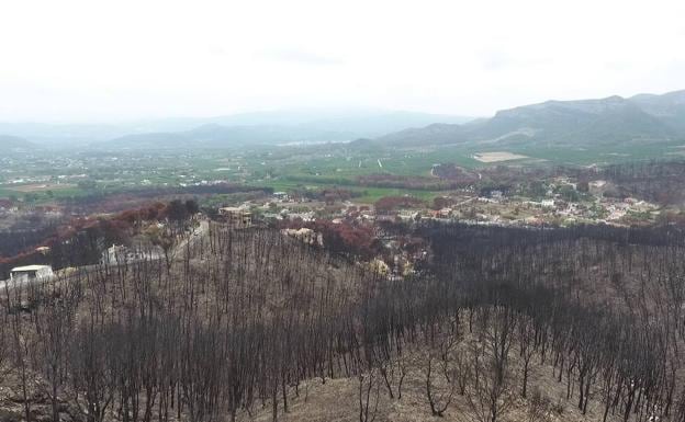 Zona de interfaz urbano-forestal arrasada por un incendio