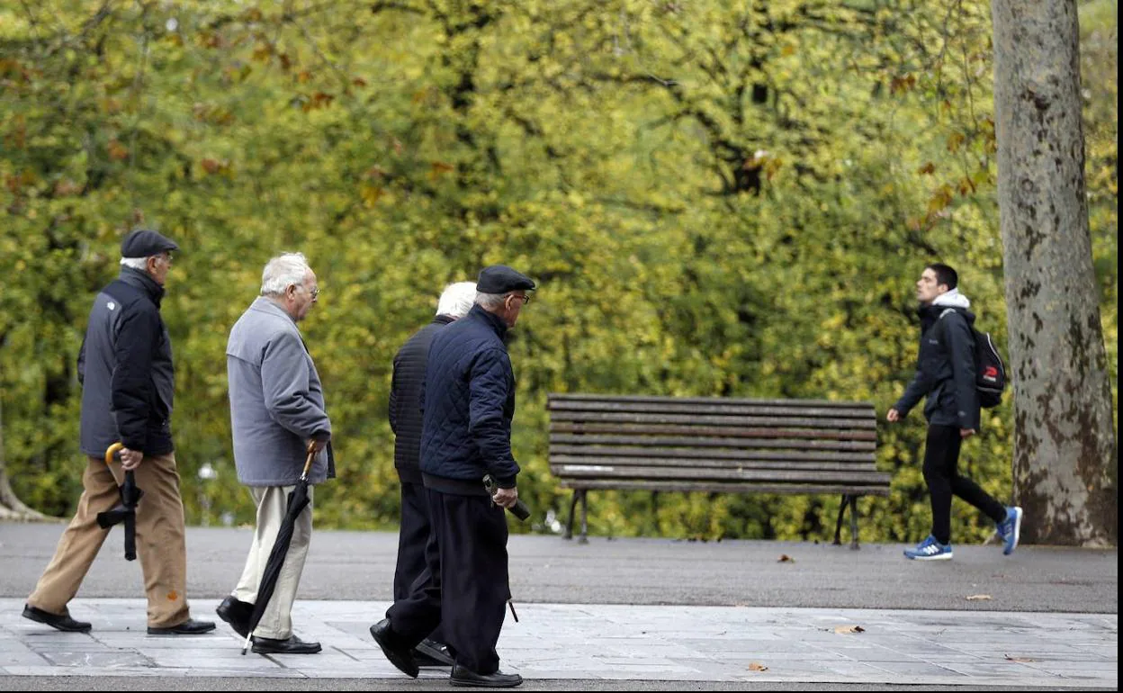 Un grupo de jubilados pasea por un parque. 
