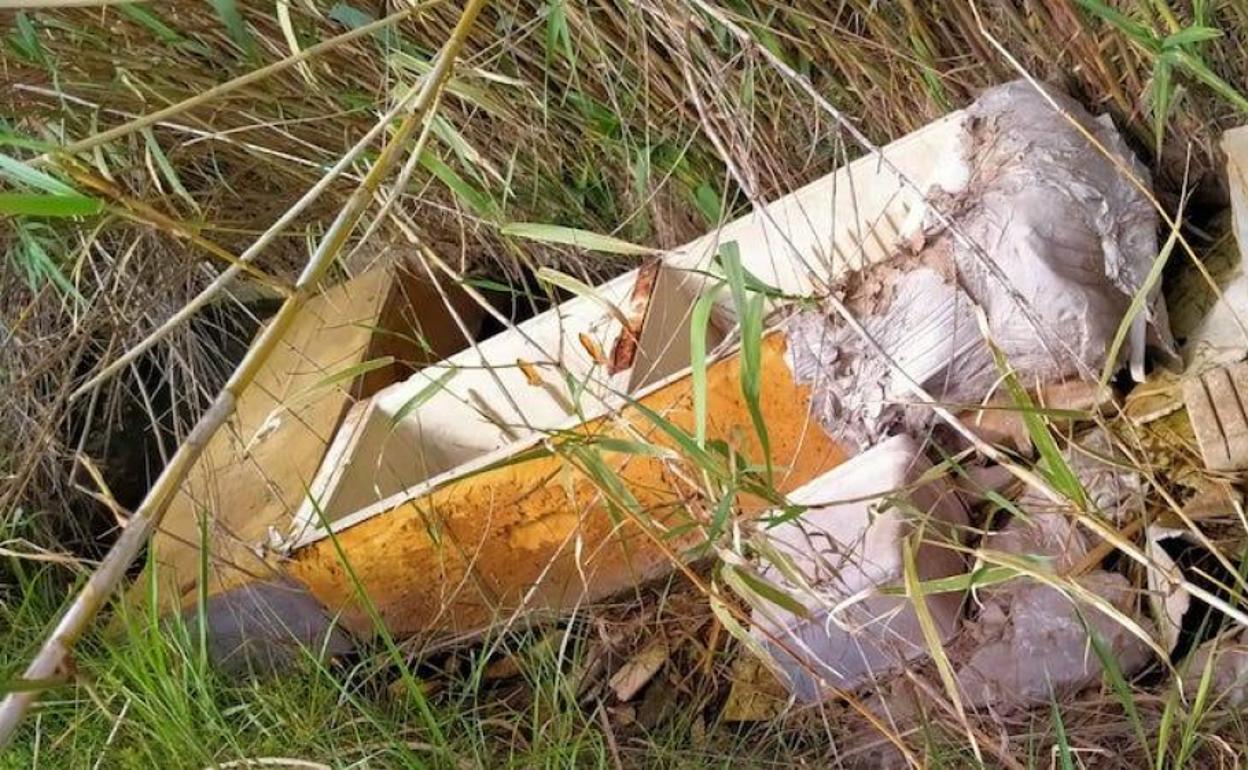 Una nevera en una acequia en las inmediaciones de la Albufera. 