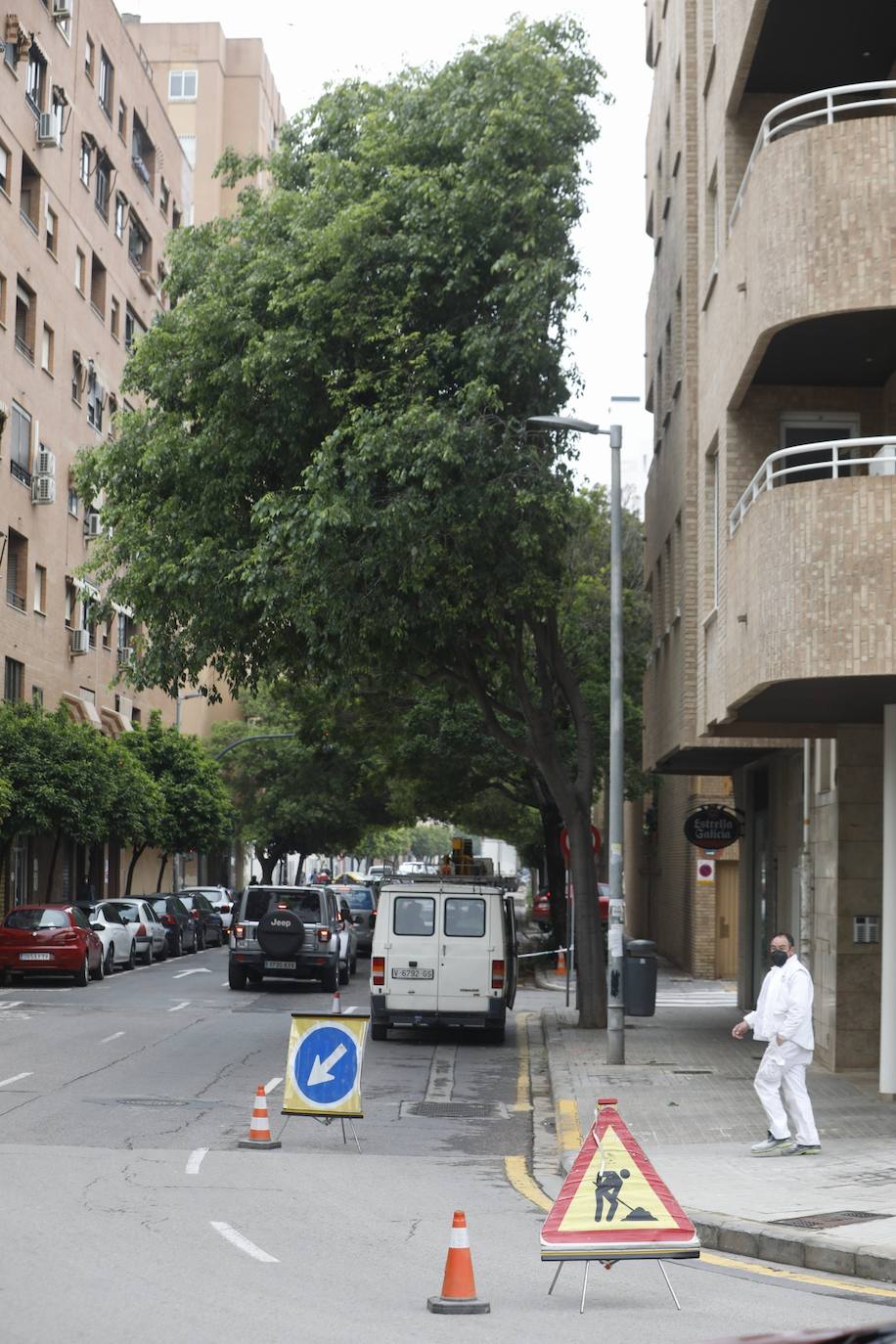 Tras años de quejas de los residentes del barrio de Benimaclet de Valencia, se ha podado un almez enorme que estaba pegado a la fachada de las casas de los vecinos. El árbol no les dejaba entrar la luz y era un nido de palomas, ratas y bichos. 