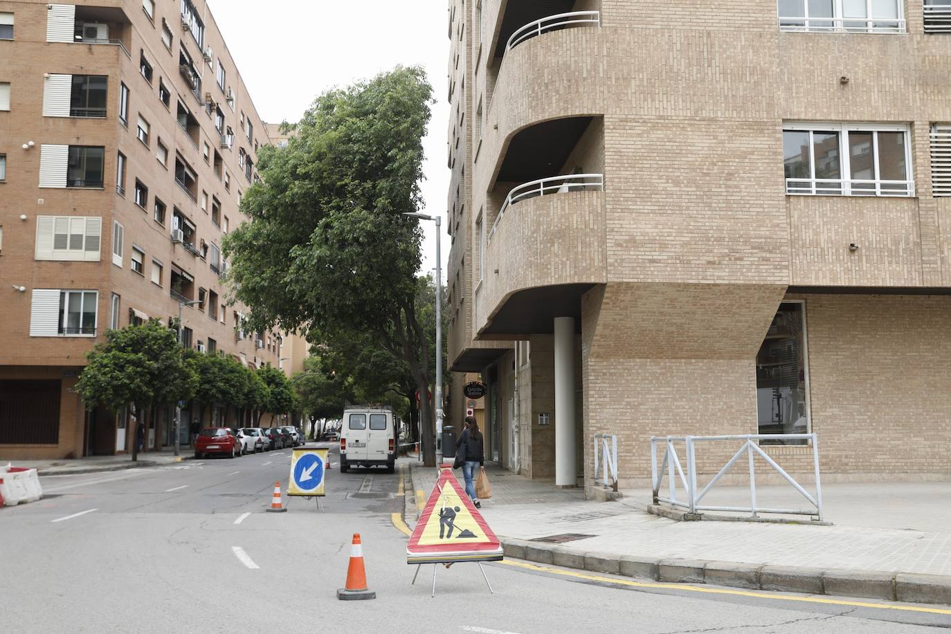 Tras años de quejas de los residentes del barrio de Benimaclet de Valencia, se ha podado un almez enorme que estaba pegado a la fachada de las casas de los vecinos. El árbol no les dejaba entrar la luz y era un nido de palomas, ratas y bichos. 