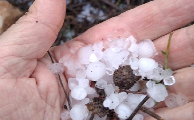 Tamano de la piedra caída este martes. 