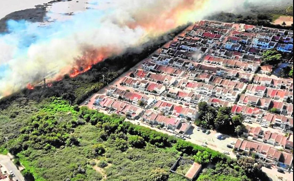 Las llamas, muy cerca de una urbanización en Torrevieja. 