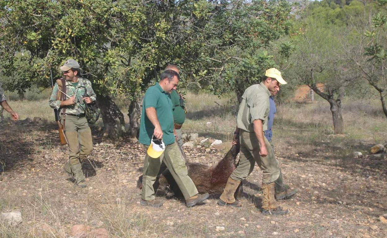 Cazadoresllevan un jabalí que han abatido. 