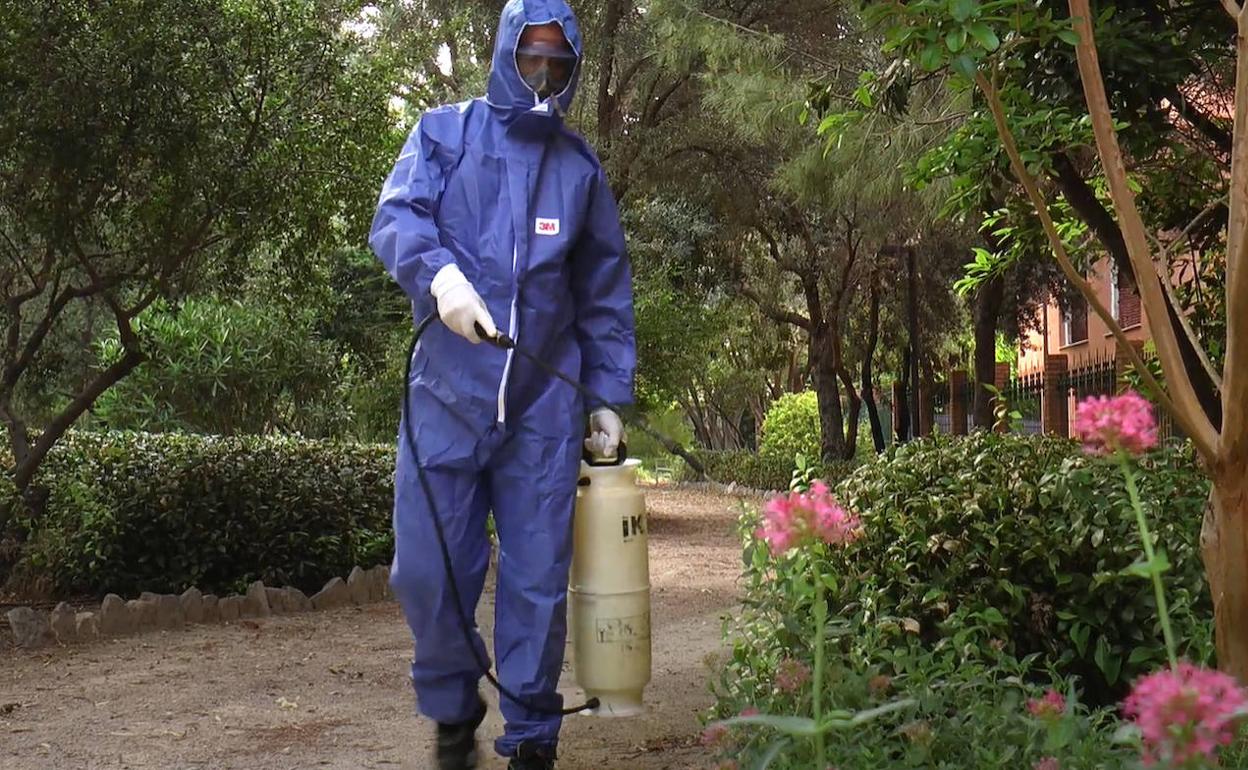 Un trabajador aplicando el tratamiento contra el mosquito tigre. 