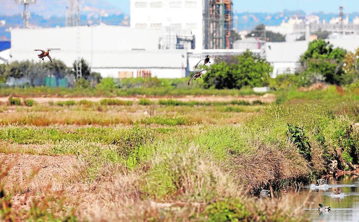 Instalaciones industriales en las inmediaciones del parque. 