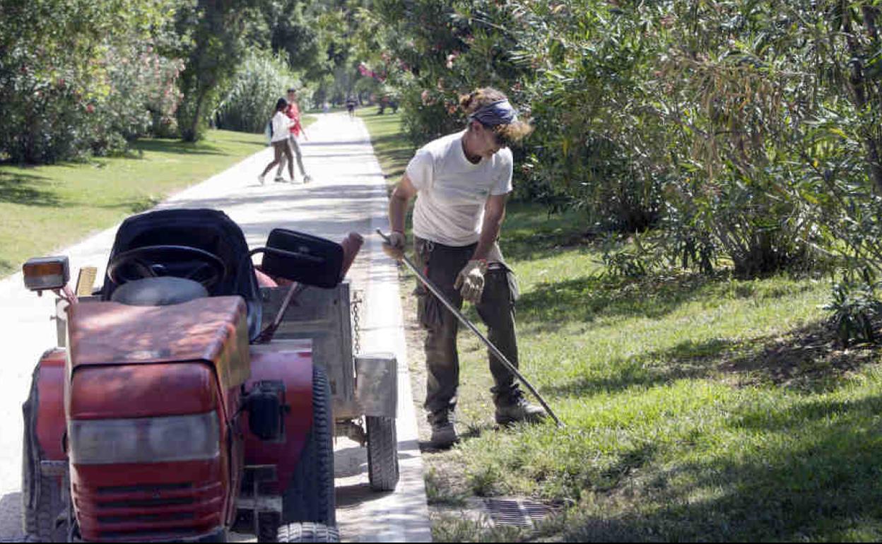 Trabajador municipal en Valencia.