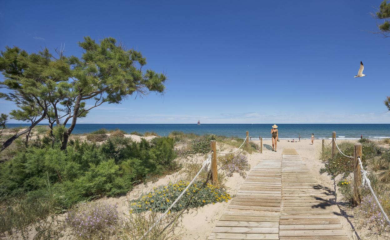 Playa de Oliva. 