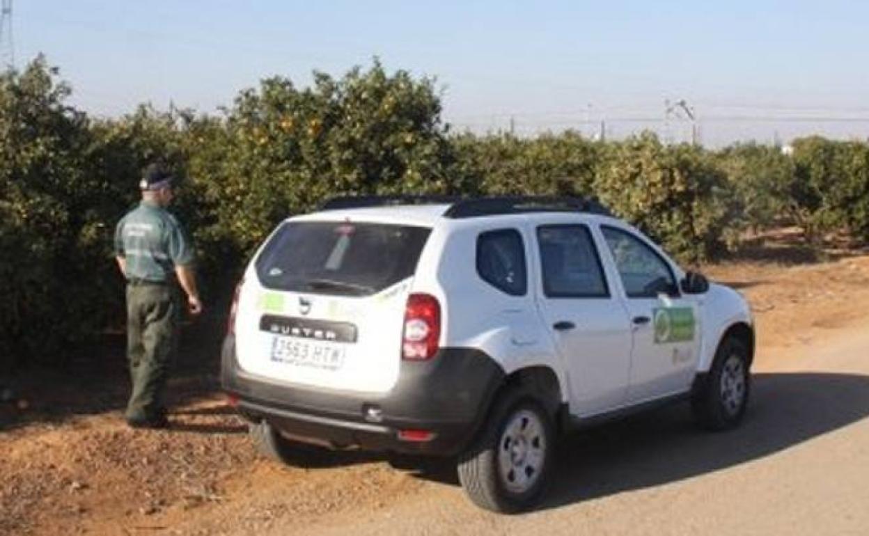 La patrulla rural de Torrent recupera 55 lotes de productos robados