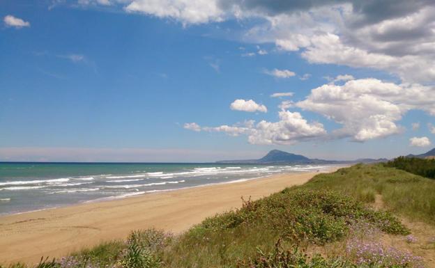 Vistas de la playa de Oliva. 