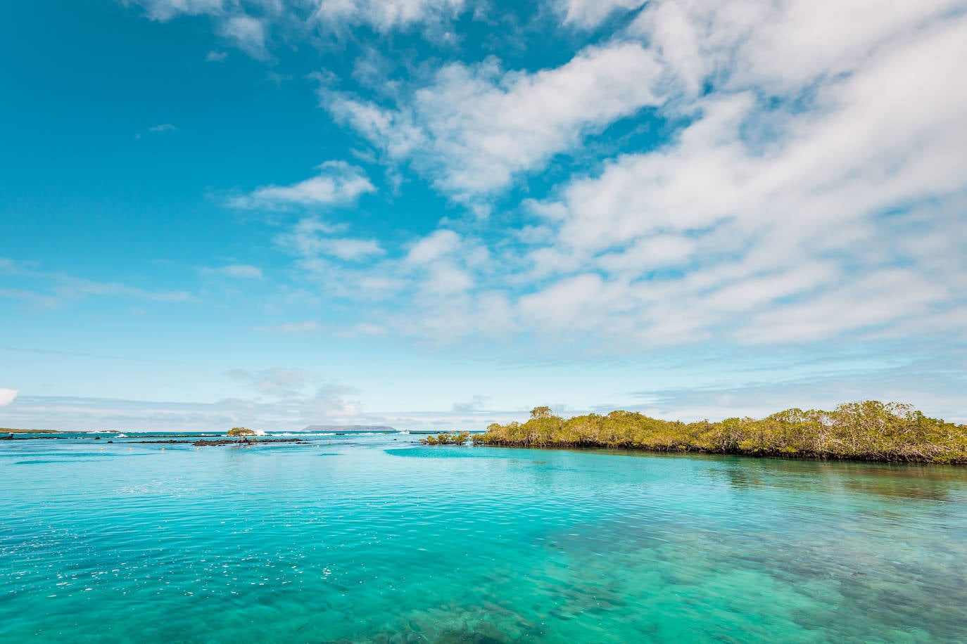 Concha de Perla (Islas Galápagos)