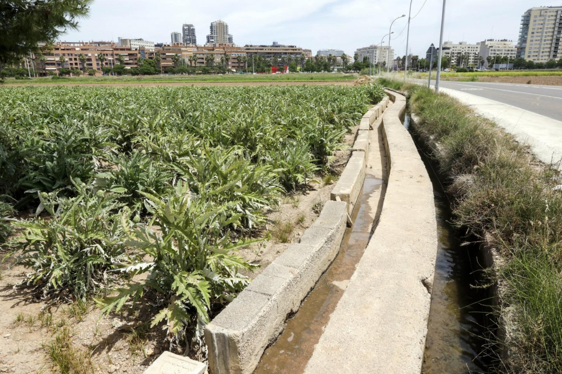 Huerta. El apoyo a los huertos de autoconsumo es claro aunque critican la falta de apoyo.