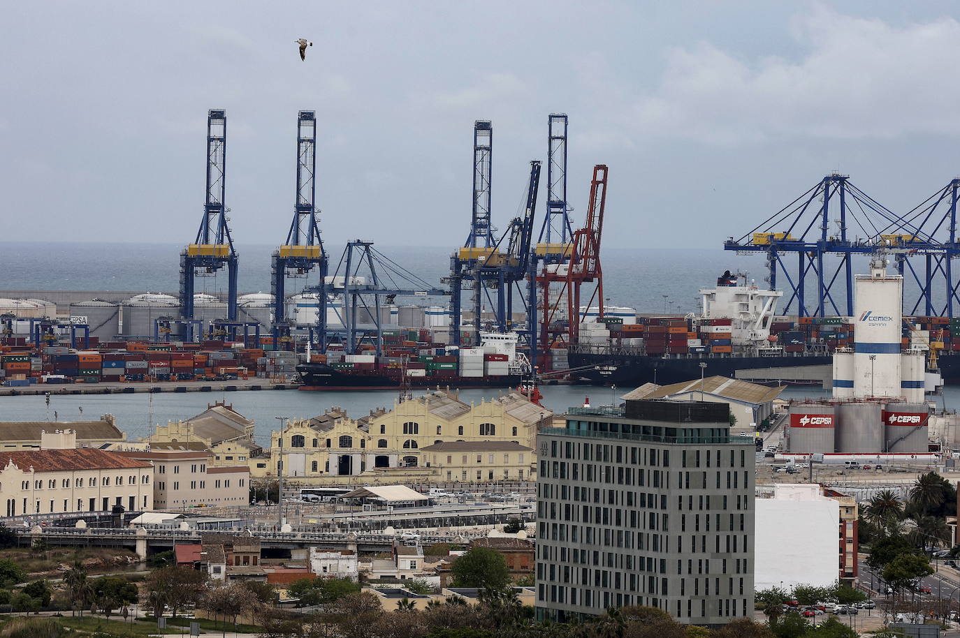 Puerto. Rechazo a la ampliación es claro. 