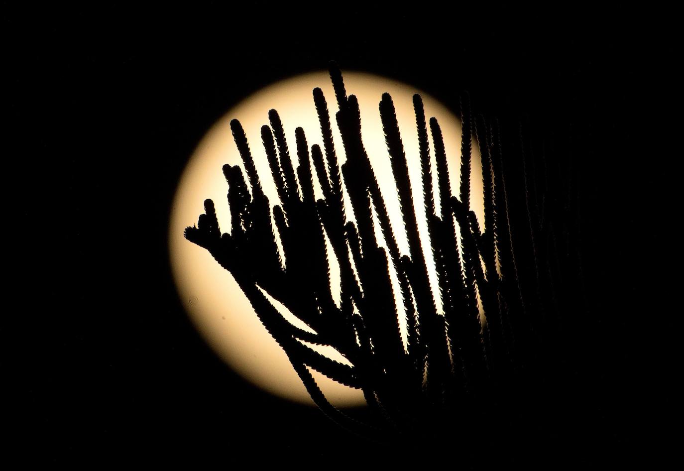 La Superluna sangrienta de mayo. 