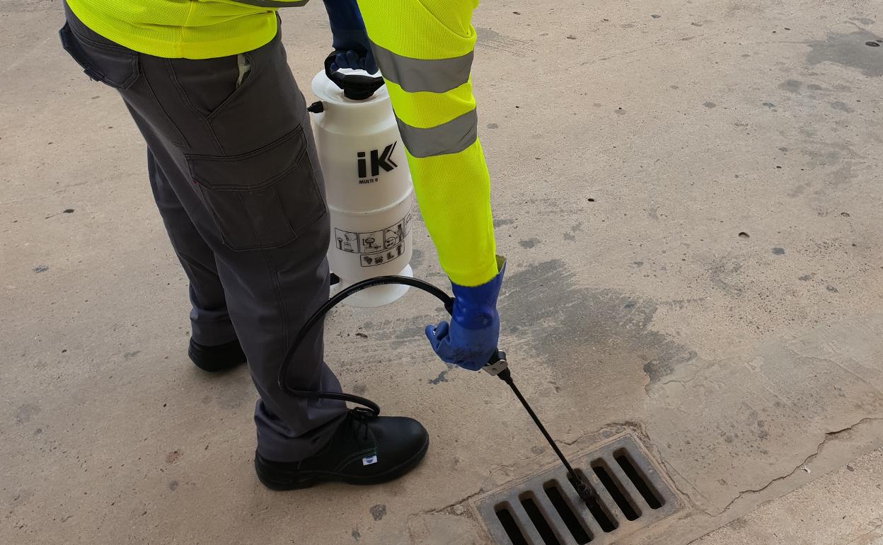 Tratamiento contra las plagas en las alcantarillas de Carlet. 