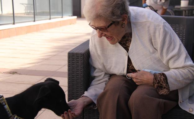 Thor: un terapeuta de cuatro patas en Savia Campanar