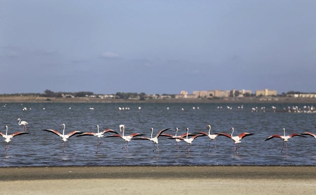 Las salinas más grandes de Europa