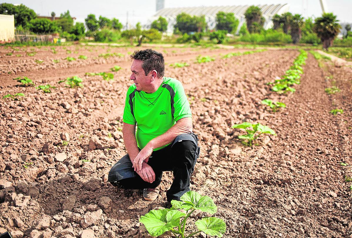 Superviviente.Agricultor dedicado por completo al campo, en La Punta. 