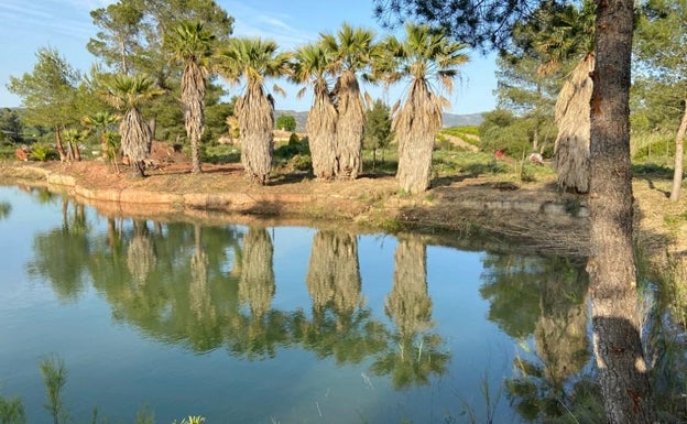 El edificio tendrá 80.000 metros cuadrados y estará junto al lago. 